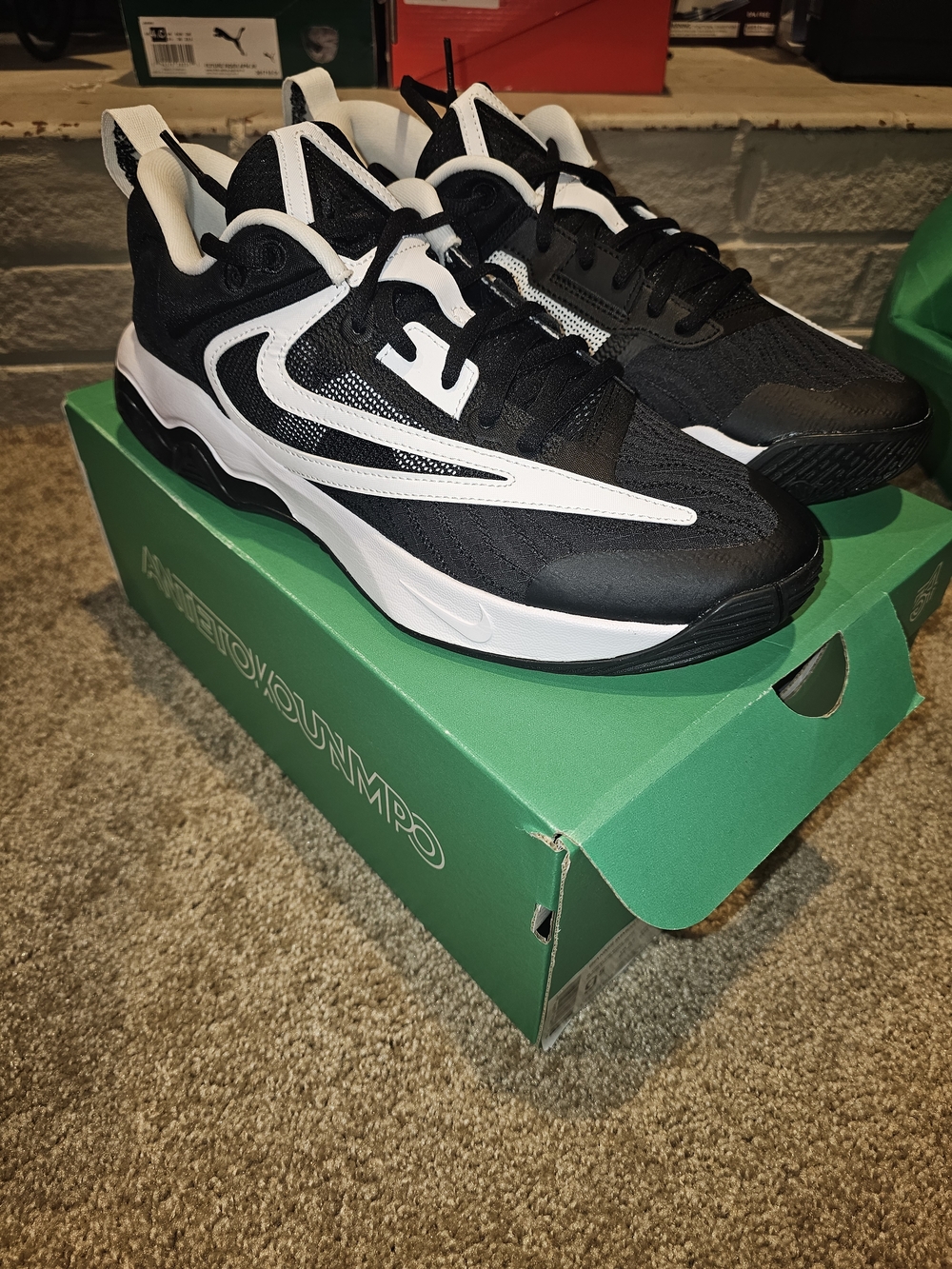 Nike Men's Giannis Black & White Low-Top Sneakers
